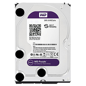 10TB (WD100PURX)